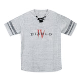 Diablo Maglietta IV Logo donna grigio - Vista frontale