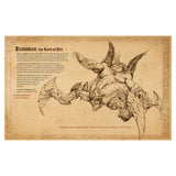 Book of Adria: A Diablo Bestiary in Tan - Second Page View