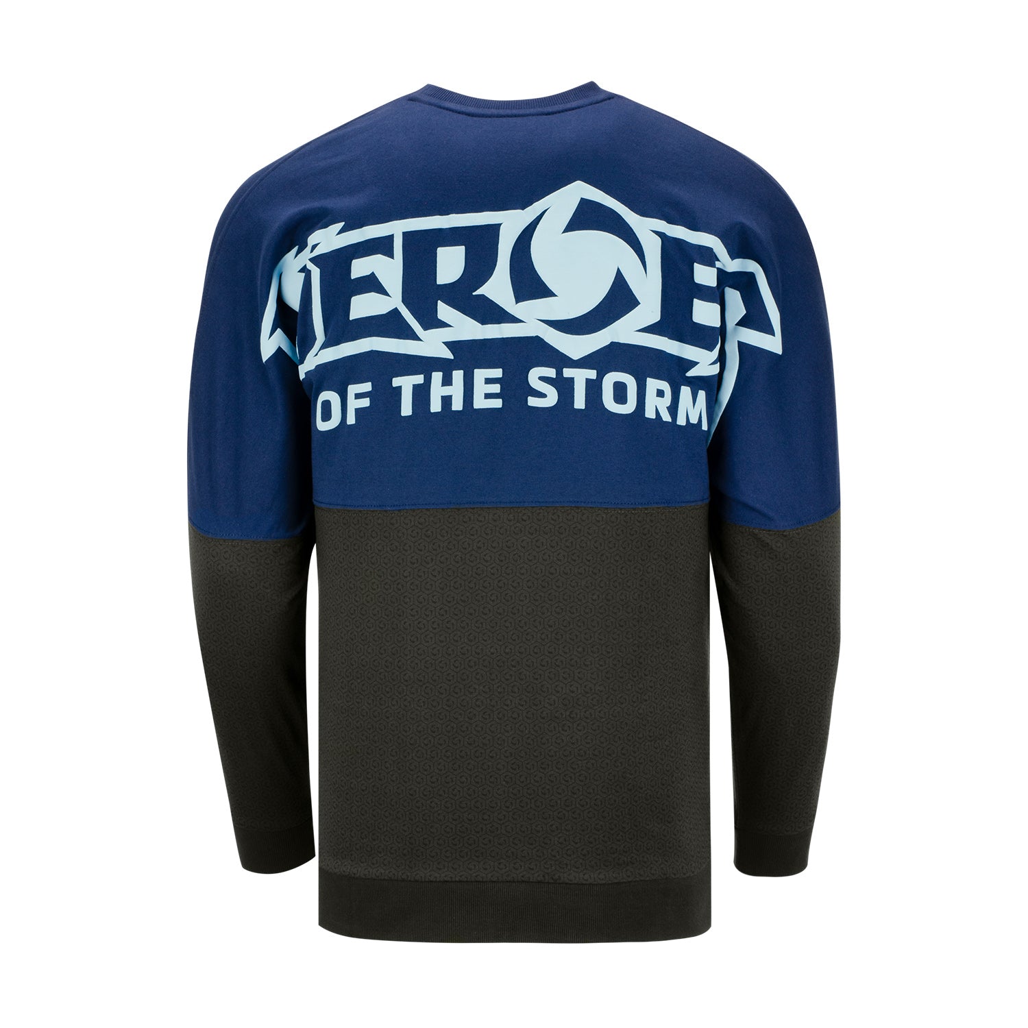 Heroes of the Storm Billboard Long Sleeve Blue T-Shirt - Back View